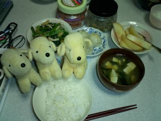 20050909-01.jpg